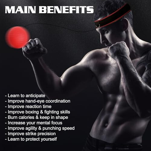 Boxing Reflex Ball Headband Set - Includes 4 Different Balls and 2 Adjustable Headbands for Beginner Proficiency Improvement, Great Boxing Equipment - 4