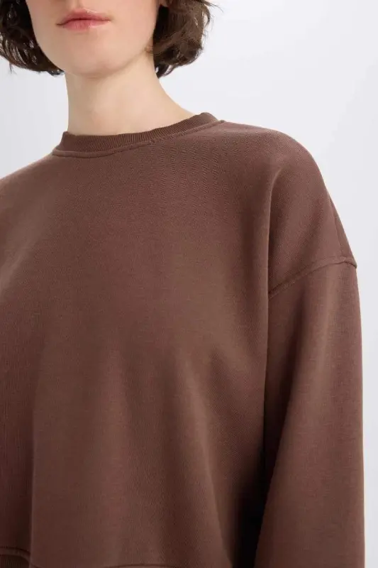 Boxy Fit Crew Neck Basic Plain Thick Sweatshirt-Coffee - 5