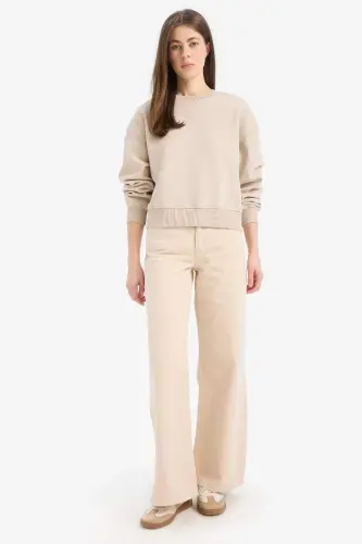 Boxy Fit Crew Neck Basic Plain Thick Sweatshirt-Sand - 2