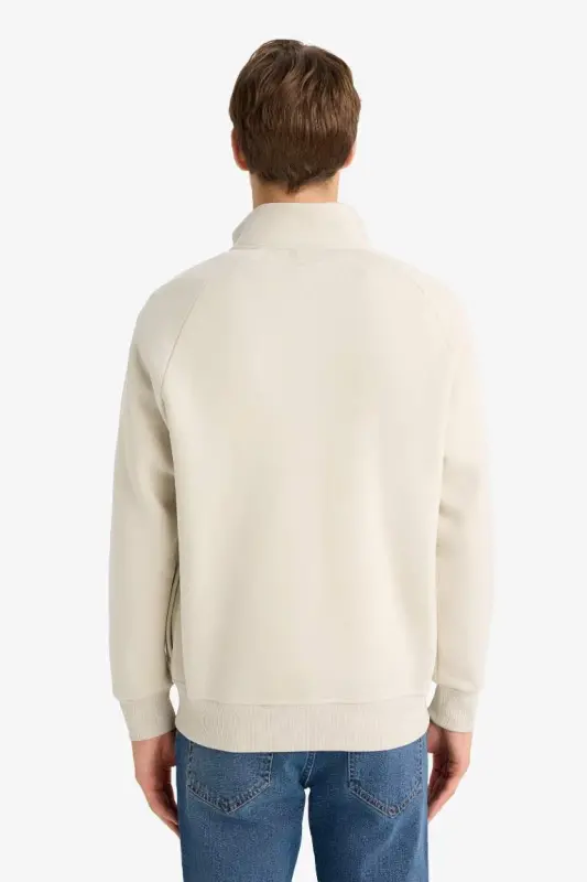 Boxy Fit Dik Yaka Baskılı İçi Yumuşak Tüylü Fermuarlı Sweatshirt-Taş - 6