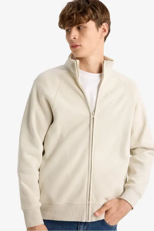 Boxy Fit High Neck Printed Zippered Sweatshirt with Soft Fluffy Interior-Stone - 4