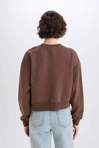 Boxy Fit Велосипедный Воротник Basic Однотонный Плотный Свитшот-Кофе - 6