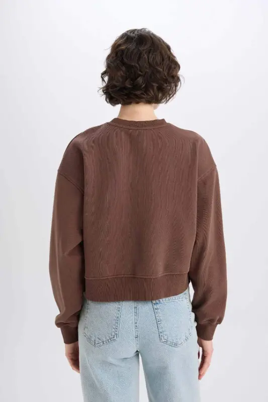 Boxy Fit Велосипедный Воротник Basic Однотонный Плотный Свитшот-Кофе - 6