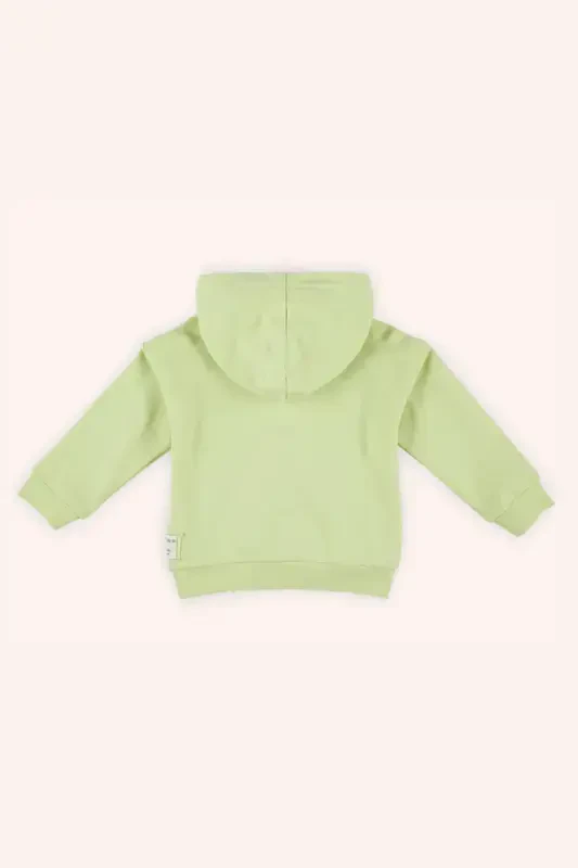 Boys Baby Hooded Green Sweatshirt-007 - 2