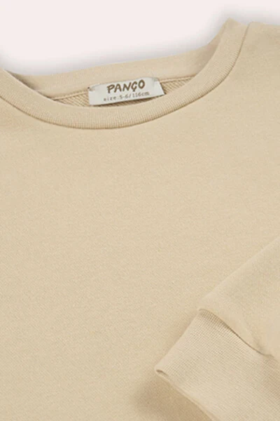 Boy's Back Print Detailed Beige Sweatshirt - 4