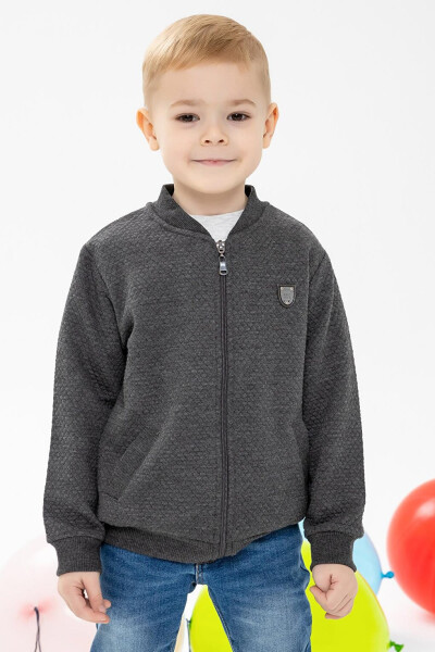 Boys' Basic Fleece Hoodie with Pocket and Emblem (2-4 Years) - 25