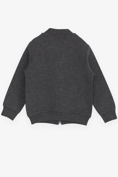 Boys' Basic Fleece Hoodie with Pocket and Emblem (2-4 Years) - 23