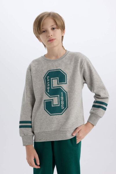 Boys Bicycle Neck Printed Sweatshirt Grey Melange - 1