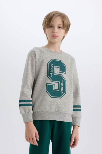 Boys Bicycle Neck Printed Sweatshirt Grey Melange - 3