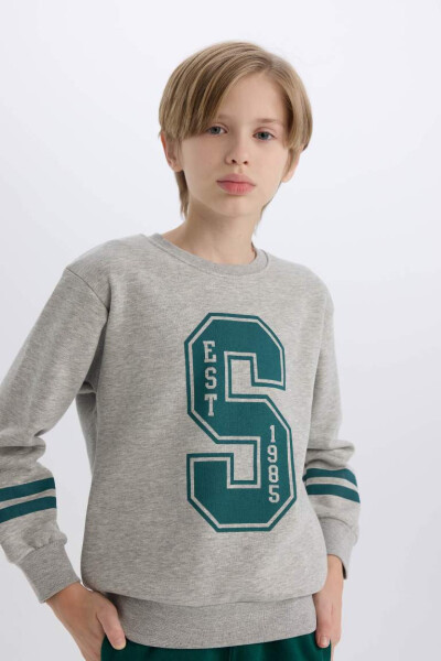 Boys Bicycle Neck Printed Sweatshirt Grey Melange - 4