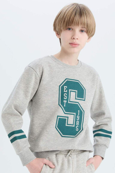 Boys Bicycle Neck Printed Sweatshirt Grey Melange - 1