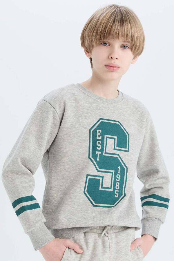 Boys Bicycle Neck Printed Sweatshirt Grey Melange - 1