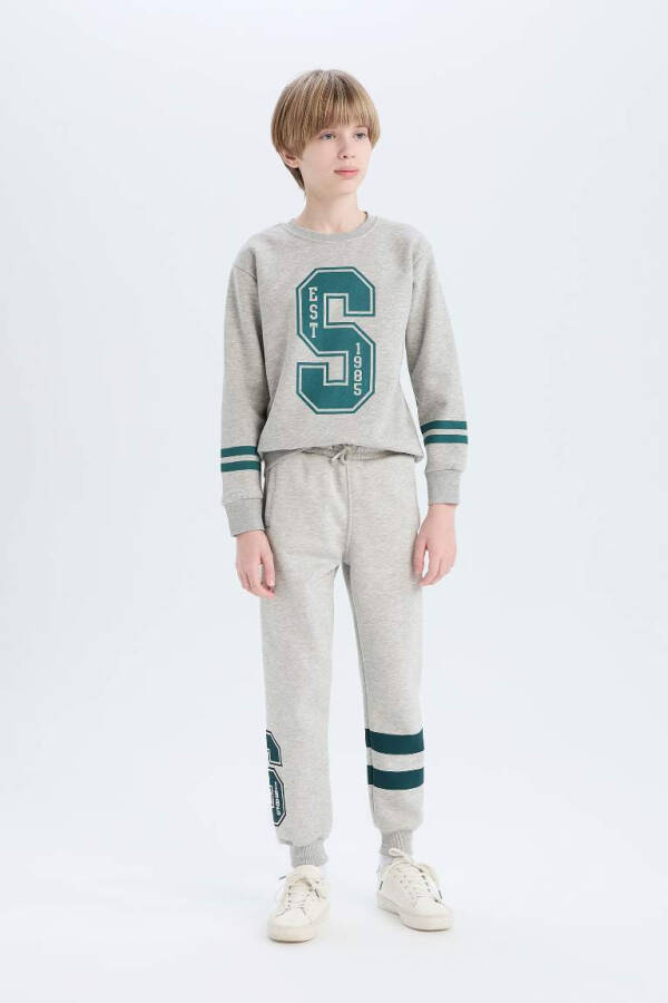 Boys Bicycle Neck Printed Sweatshirt Grey Melange - 2