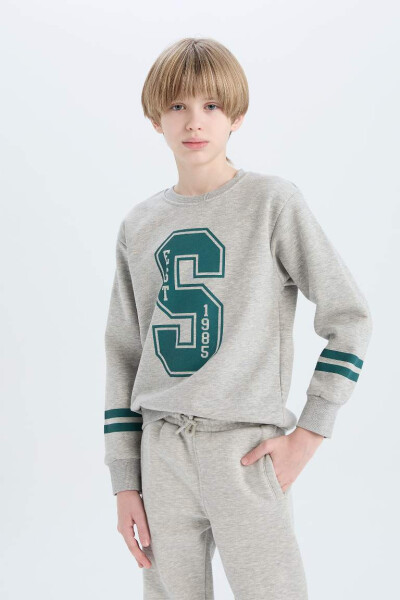 Boys Bicycle Neck Printed Sweatshirt Grey Melange - 3