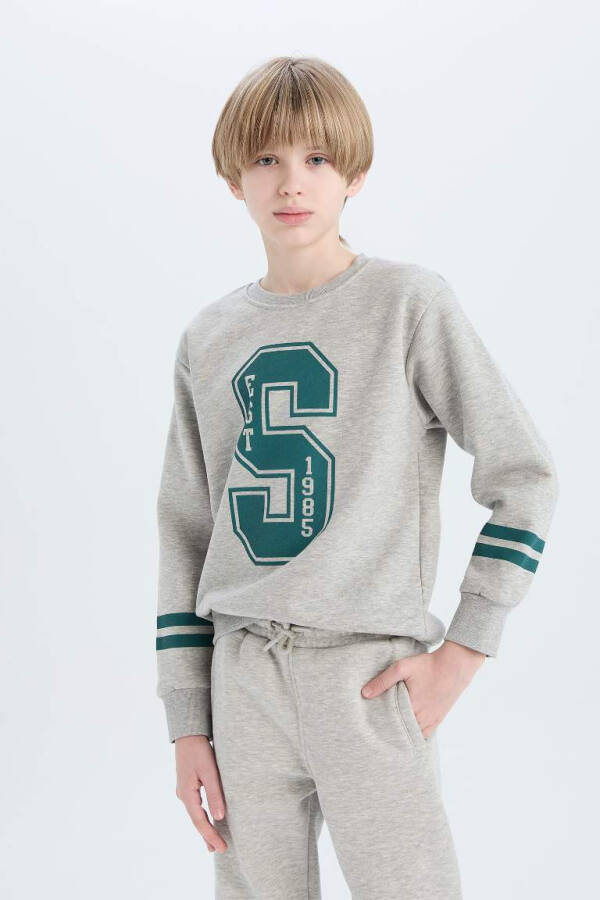 Boys Bicycle Neck Printed Sweatshirt Grey Melange - 3