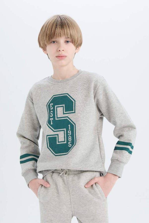 Boys Bicycle Neck Printed Sweatshirt Grey Melange - 4
