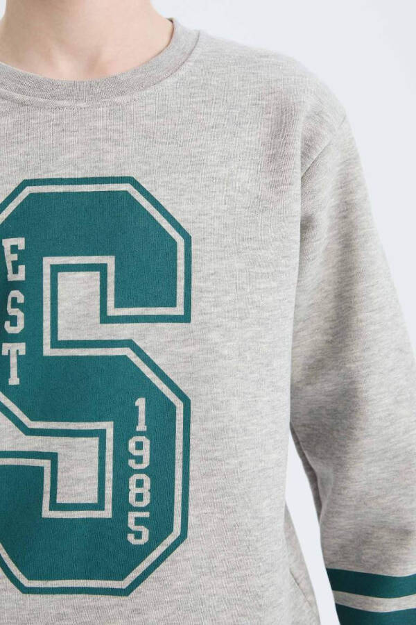Boys Bicycle Neck Printed Sweatshirt Grey Melange - 5
