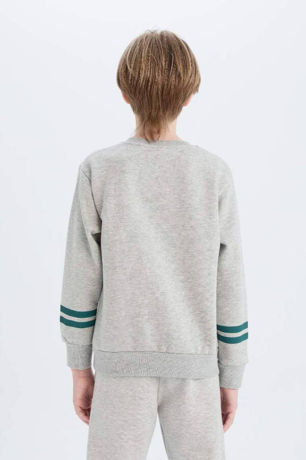 Boys Bicycle Neck Printed Sweatshirt Grey Melange - 6