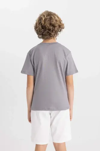 Boys' Crew Neck Printed Short Sleeve T-Shirt-Gray - 6