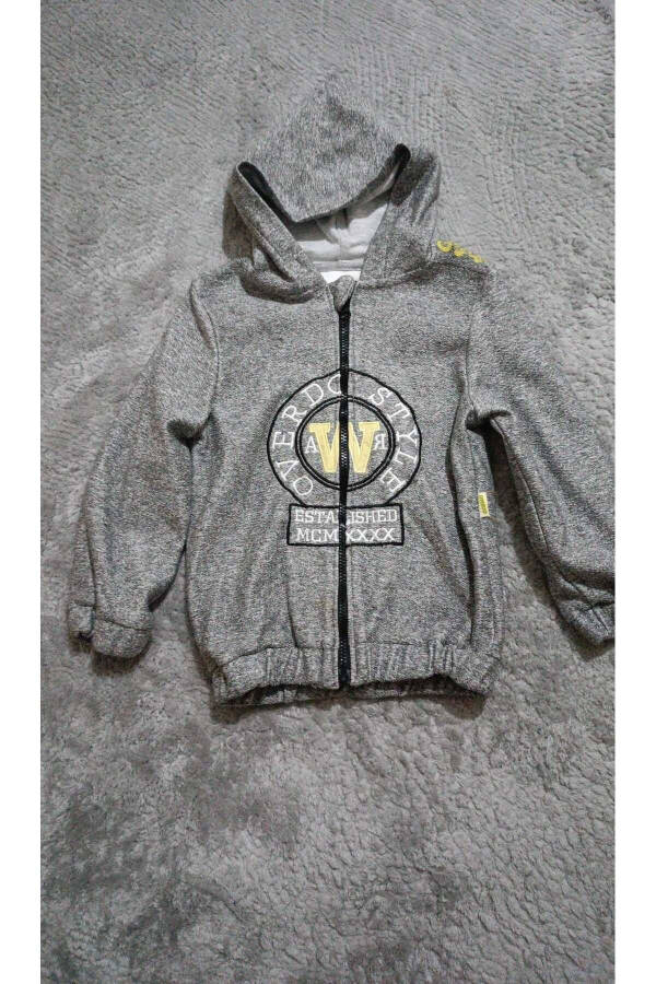 Boy's Hooded Zipper Jacket with Style Embroidery - 1