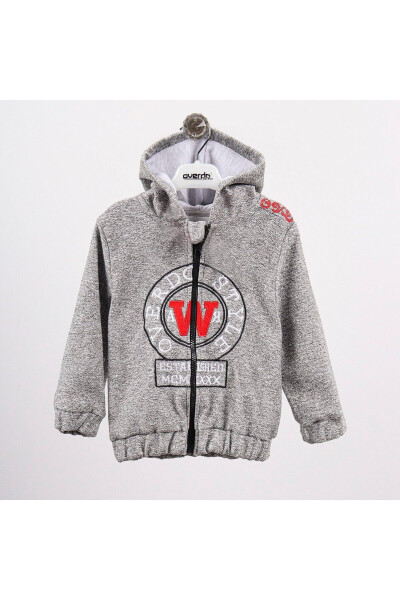 Boys' Hooded Zipper Jacket with Style Embroidery - 1