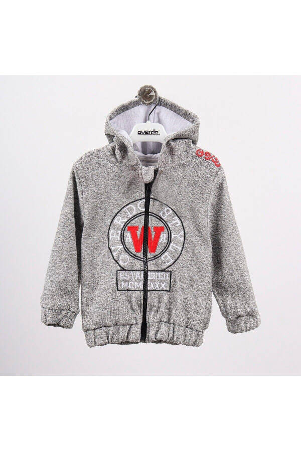 Boys' Hooded Zipper Jacket with Style Embroidery - 1