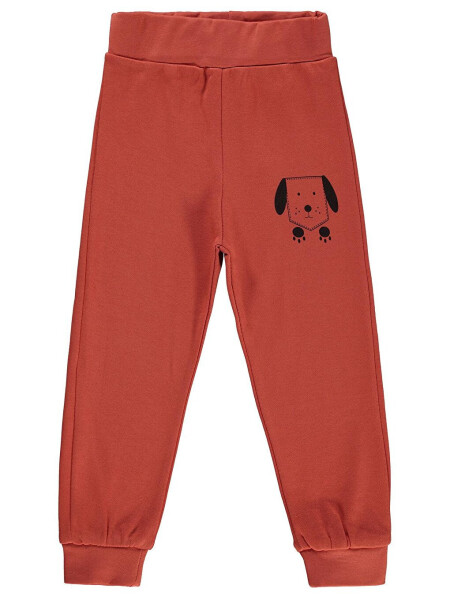 Boys Kids Sweatpants 2-5 Years Old Terracotta - 3