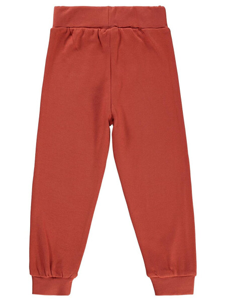 Boys Kids Sweatpants 2-5 Years Old Terracotta - 4