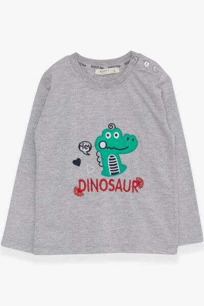 Boy's Long Sleeve T-Shirt Dinosaur Embroidered 9 Months-3 Years, Gray Melange - Modazone