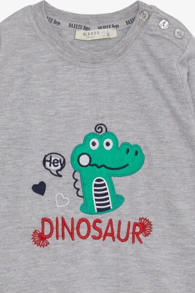 Boy's Long Sleeve T-Shirt Dinosaur Embroidered 9 Months-3 Years, Gray Melange - 3