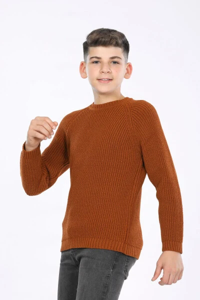 Boys Regular Fit Basic Knit Sweater (4-13 Years) - CLOUDY KIDS (1)