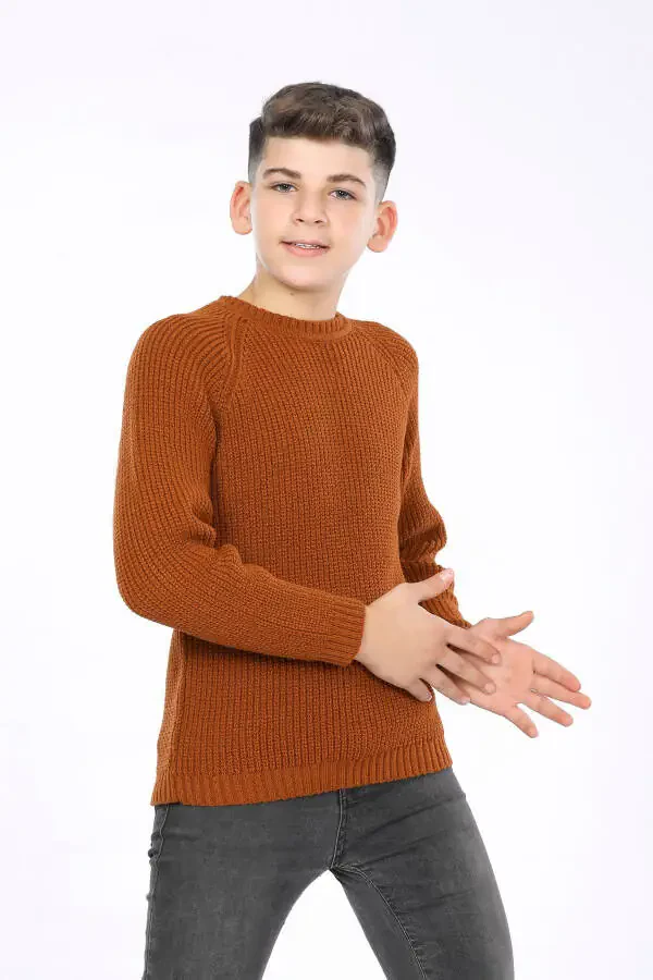 Boys Regular Fit Basic Knit Sweater (4-13 Years) - 3