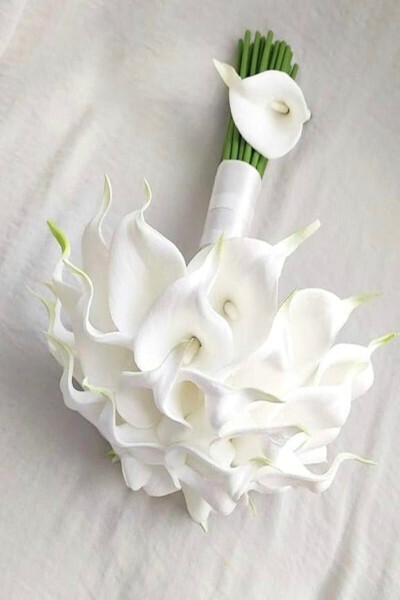 Bride's Bouquet Broken White Wet Gala Collar Flower - 3