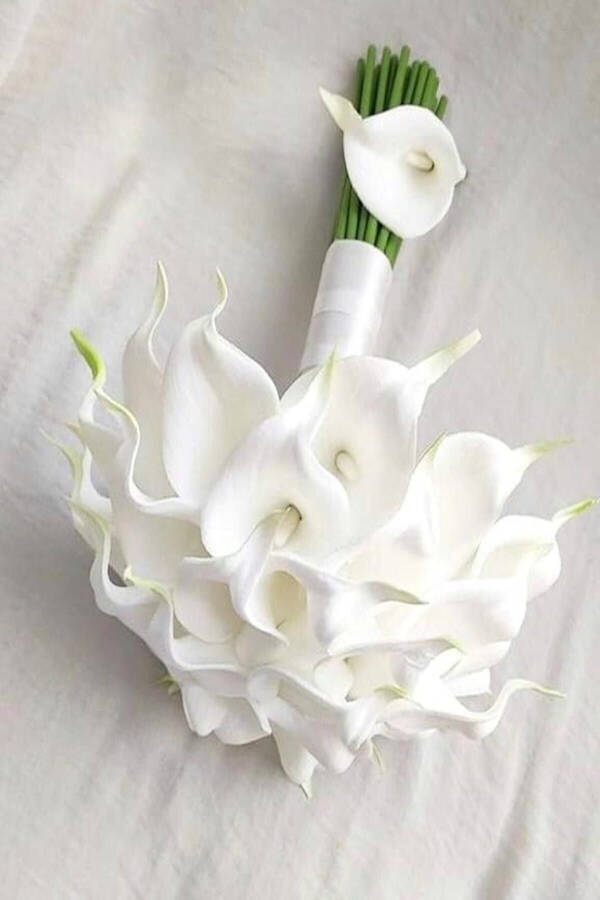 Bride's Bouquet Broken White Wet Gala Collar Flower - 7