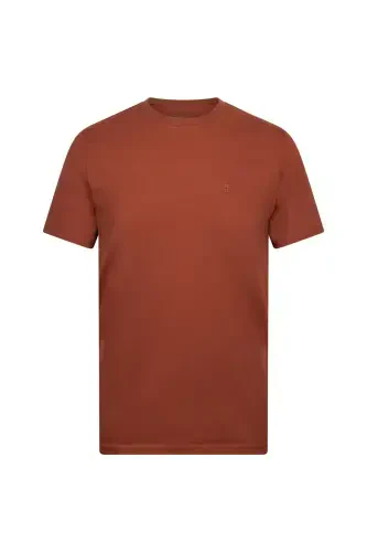 Brown Regular Fit Crew Neck Cotton Basic T-Shirt-Brown - 1