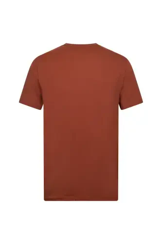 Brown Regular Fit Crew Neck Cotton Basic T-Shirt-Brown - HATEMOĞLU (1)