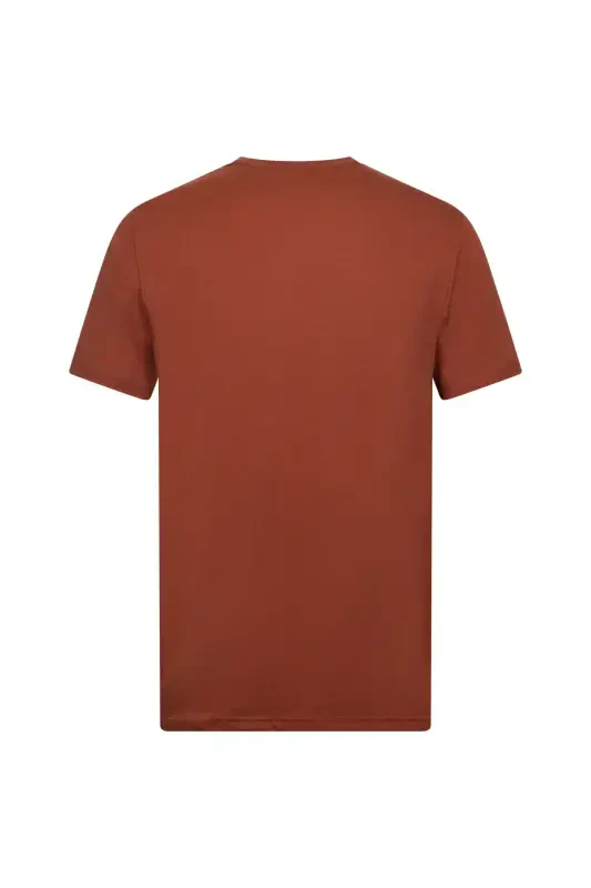 Brown Regular Fit Crew Neck Cotton Basic T-Shirt-Brown - 2
