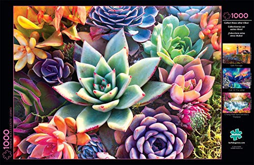 Buffalo Games - Simple Succulent - 1000 Piece Jigsaw Puzzle - 5