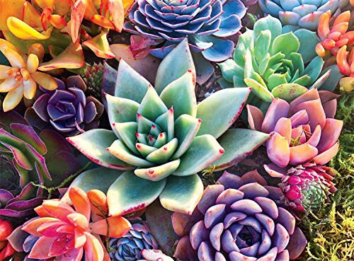 Buffalo Games - Simple Succulent - 1000 Piece Jigsaw Puzzle - 1