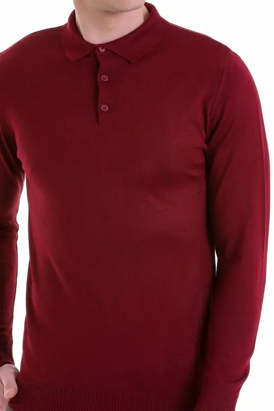 Burgundy Comfort Fit Plain Polo Collar Woolen Wool Sweater-Burgundy - 5