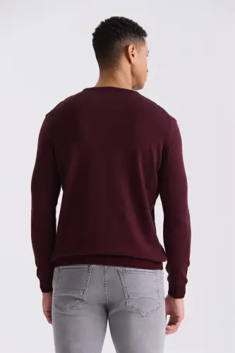 Burgundy Slim Fit Crewneck Striped Knitted Sweater - 4