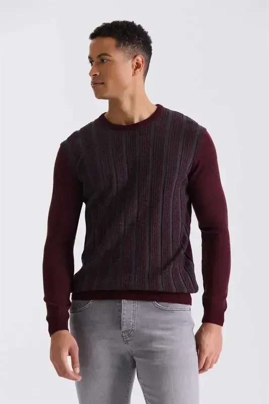 Burgundy Slim Fit Crewneck Striped Knitted Sweater - 2
