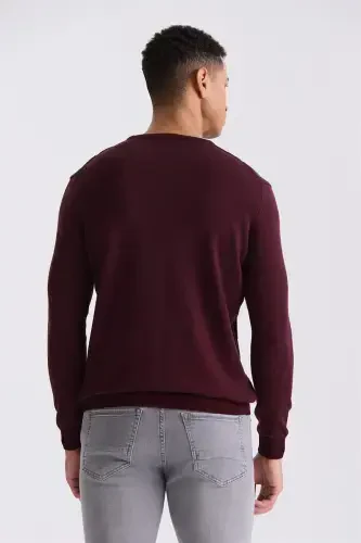 Burgundy Slim Fit Crewneck Striped Knitted Sweater - 4