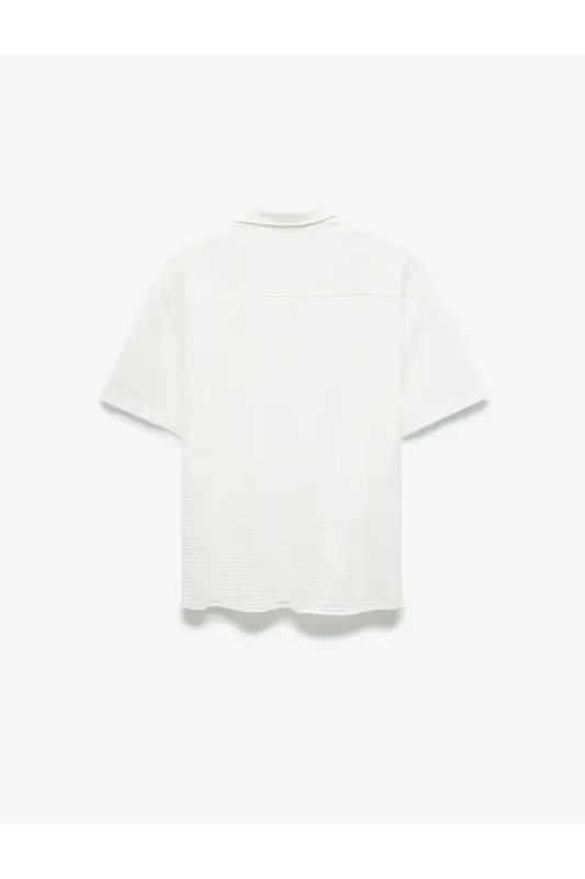 Button-Down Textured Regular Fit Classic Short Sleeve - 4