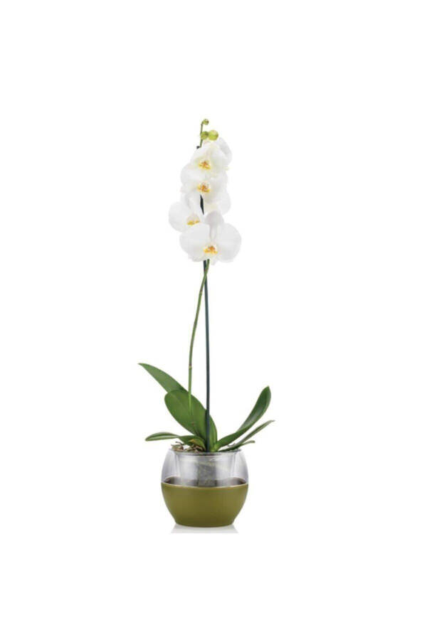 Buule Orchid Pot with Drainage 2 Lt White - 6