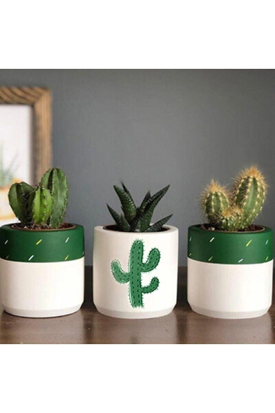 Cactus Patterned Pot Set of Three Including Plants - Small Succulent Pot Drawing Cactus - 2