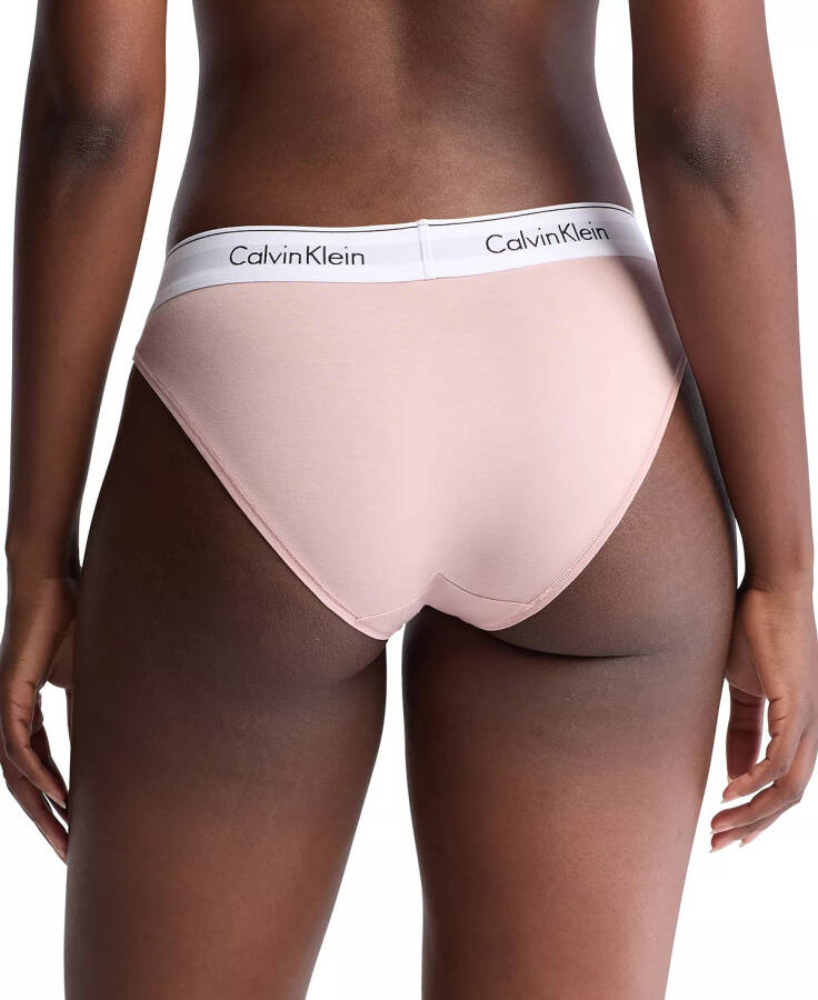 Calvin Klein F3787 ayollar uchun zamonaviy paxtadan bikini ichki kiyimlari Subdued - 2