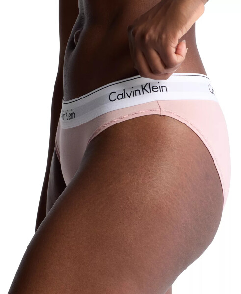 Calvin Klein F3787 ayollar uchun zamonaviy paxtadan bikini ichki kiyimlari Subdued - 3