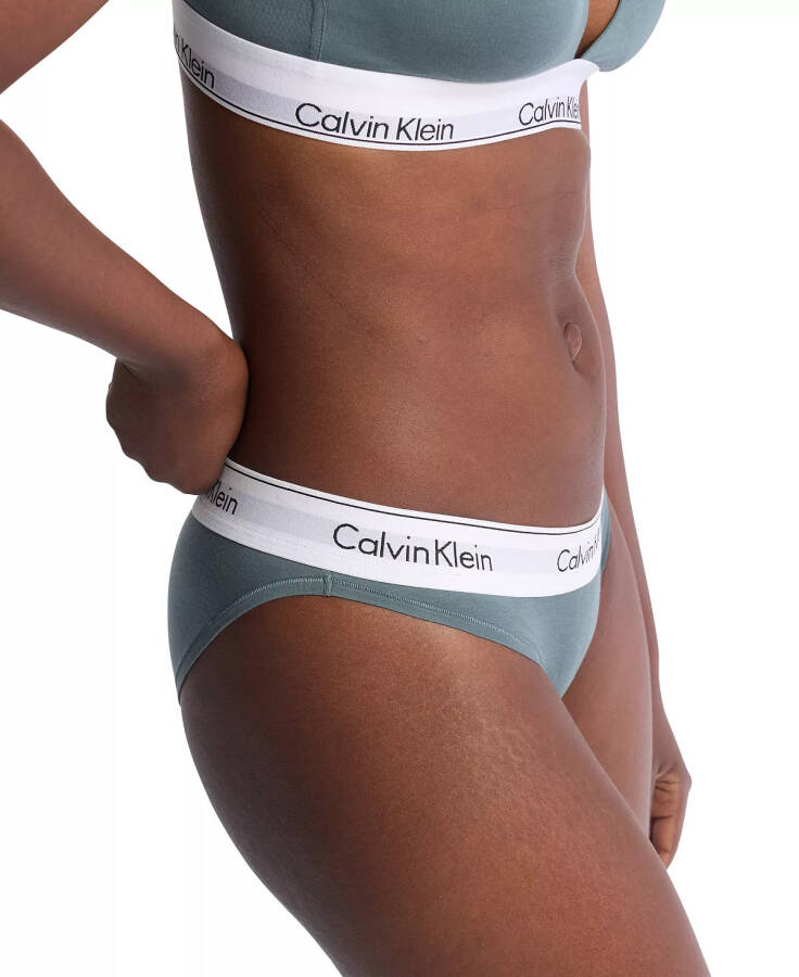 Calvin Klein Kadın Modern Pamuklu Bikini İç Çamaşırı F3787 Mavi Performans - 3