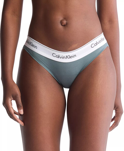 Calvin Klein Women's Modern Cotton Bikini Underwear F3787 Blue Performance - 1